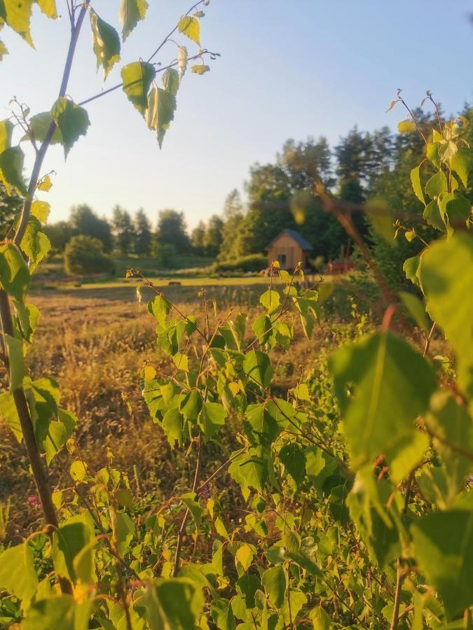 Olejarnia Godki Villa Jonkowo Eksteriør bilde